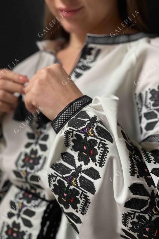 Women's embroidered blouse "Borschivski bees"