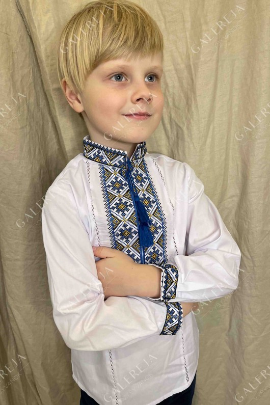 Embroidered shirt for a boy "Patriotic"