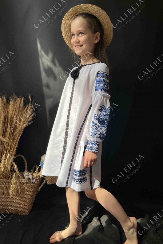 Embroidered dress for the girl «Pava»