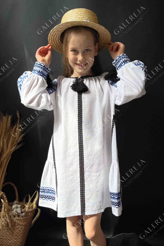 Embroidered dress for the girl «Pava»