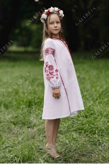 Dress embroidered for a girl "Cuckoo"