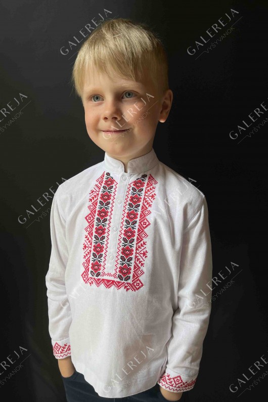 Embroidered shirt for a boy "Sokalska"