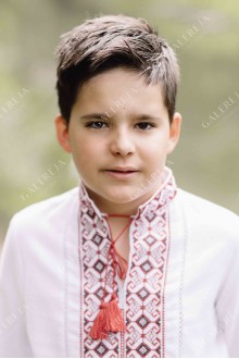 Embroidered shirt for a boy "ГВ3151"