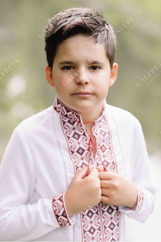Embroidered shirt for a boy "ГВ3151"
