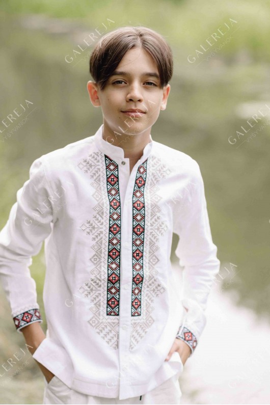 Embroidered shirt for a boy "School"