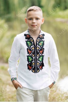 Embroidered shirt for a boy "Borshchivski kolodochki"