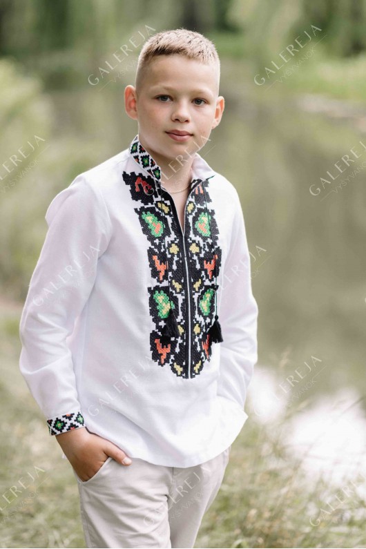 Сорочка вишита для хлопчика «Борщівські колодочки»