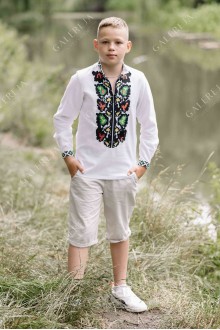 Embroidered shirt for a boy "Borshchivski kolodochki"