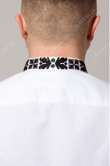 Men's embroidered shirt "Borshchivska" handmade