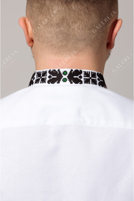Men's embroidered shirt "Borshchivska" handmade