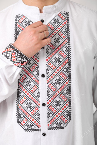 Men's embroidered shirt "Alatyr"