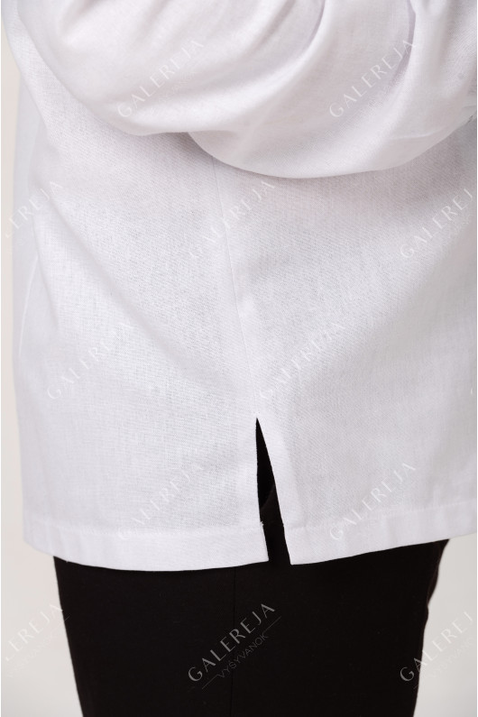 Men's embroidered shirt "Exquisite"