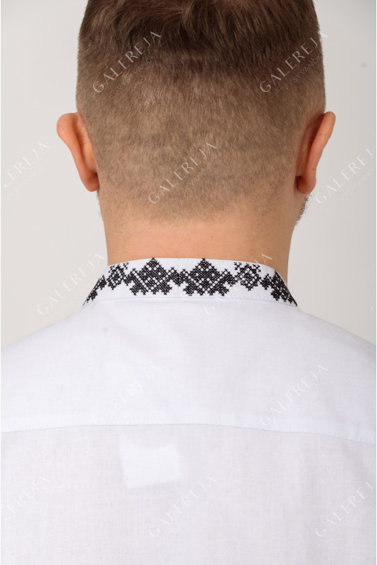 Men's embroidered shirt "Exquisite"