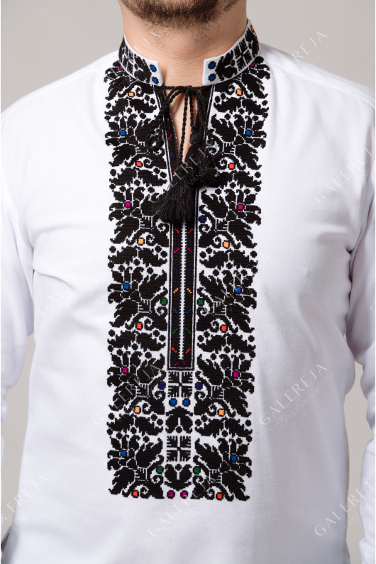 Men's embroidered shirt "Borshchivska" handmade